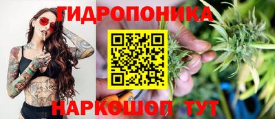 соль ск Бийск