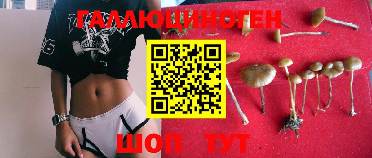 Канабис  Cocaine  Гашиш  Вход с VPN  Златоуст  Гашиш  Меф МЯУ МЯУ кристаллы  Кетамин 